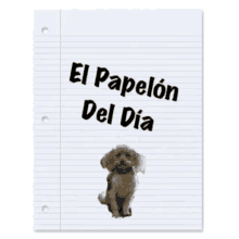 Papelon Bob GIF - Papelon Bob Dog GIFs