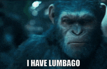 I Have Lumbago Back Pain GIF - I Have Lumbago Lumbago Back Pain GIFs