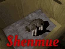 Shenmue Shenmue Cat GIF - Shenmue Shenmue Cat Shenmue Neko GIFs