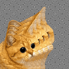 One Of Those Days Cat GIF