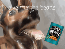 Beans GIF