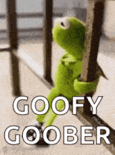 kermit the frog is sitting on a railing holding onto a railing and saying goofy goober .