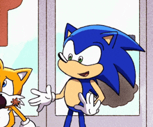 a cartoon drawing of sonic the hedgehog and tails the cat