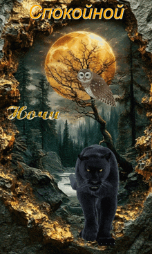 a black panther stands in front of a full moon with an owl on a tree branch