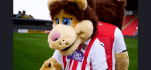 Exeter City Exeter City Mascot GIF