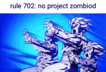 rule 702 project zomboid