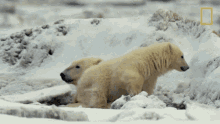 Time To Get Up Destination Wild GIF - Time To Get Up Destination Wild Rise And Shine GIFs