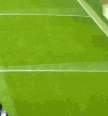 a soccer player in a blue and yellow uniform is kneeling down on the field