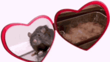 Rat Deep Fryer GIF - Rat Deep Fryer Love GIFs