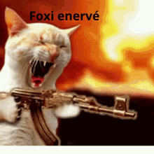 Foxi Vener GIF - Foxi Vener GIFs