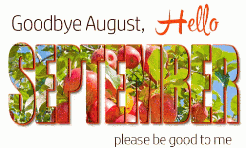 September Hello September GIF - September Hello September Good Bye August GIFs