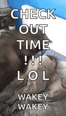 a person is laying in bed with the words check out time lol wakey wakey