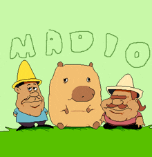 Madio GIF - Madio GIFs