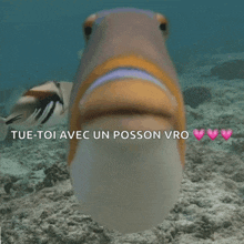 a picture of a fish with the words tue-toi avec un poisson vro written below it