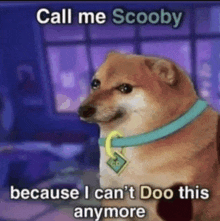 Scooby Doo Shiba Inu GIF - Scooby Doo Shiba Inu GIFs