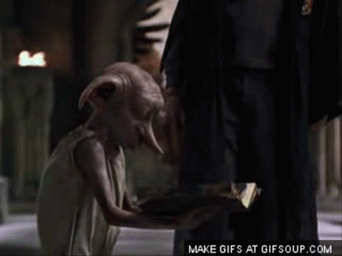 master has given dobby a sock gif