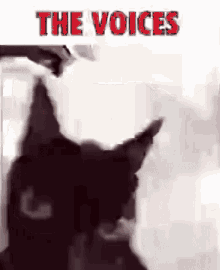 The Voices Cat GIF - The Voices Cat Insane GIFs