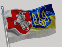 Belarus Ukraine Belarus Flag GIF - Belarus Ukraine Belarus Ukraine GIFs