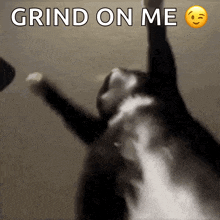 a person with their arms in the air and the words grind on me above them