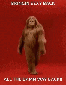 A person in a chewbacca costume walking in the way a runway model walks down the catwalk against a lipstick red backdrop. Gif text reads: "bringin' sexy back. all the damn way back!!"