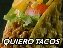 Quiero Tacos GIF