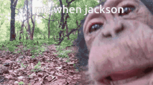 Thefamily Jackson GIF - Thefamily Jackson Monkeyjackson GIFs