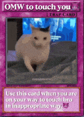 a card that says omw to touch you with a picture of a cat