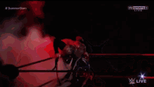 a crowd of people watching a wrestling match in a stadium .