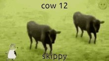 Cow12 Skippy GIF - Cow12 Skippy Cow GIFs