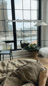 Cat Eating Plant GIF - Cat Eating Plant Screaming GIFs