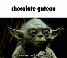 Yoda Chocolate GIF