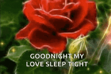 Good Night Sleep Tight GIF - Good Night Sleep Tight Sparkles GIFs