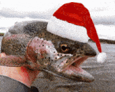 Trout Christmas GIF