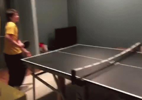 Scorching Ping Pong Girls GIF - Scorching Ping Pong Girls - Discover &  Share GIFs