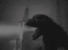 Godzilla Anguirus GIF - Godzilla Anguirus Atomic Breath GIFs