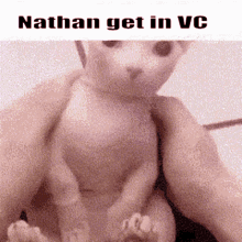 Nathan Vc Nathan GIF
