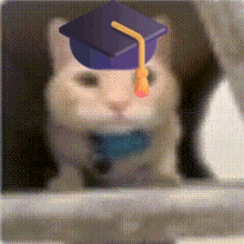 a cat wearing a graduation cap and tie