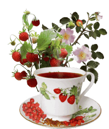 flowers tea cup of tea