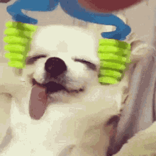 Chillin Relaxing GIF - Chillin Relaxing Dog GIFs