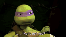 tmnt thats not you donatello that wasnt you that was not you