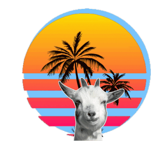 GOAT USA Store  Welcome