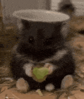 a black and white hamster is eating a green leaf from a bowl .