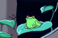 Sapo Frog GIF - Sapo Frog Abeck GIFs