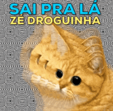 Zé Droguinha / Só Vejo  Dorgas Manolo / Gato Psicodélico / Gatinho GIF - Cat Ze Droguinha Druggie GIFs