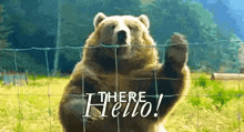 a bear is standing behind a fence waving its paw and says there hello !