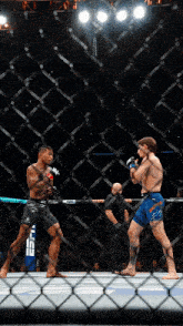 two men are fighting in a cage with the word ufc on the bottom