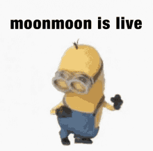 Moonmoon Is GIF - Moonmoon Is Live GIFs