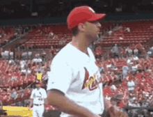 Adam Wainwright Cardinalsgifs GIF