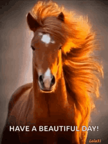 horse have a beautiful day nice hair