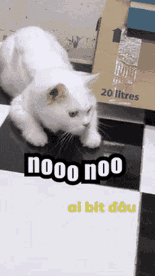 a white cat laying next to a cardboard box that says 20 litres on it
